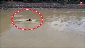 Haridwar