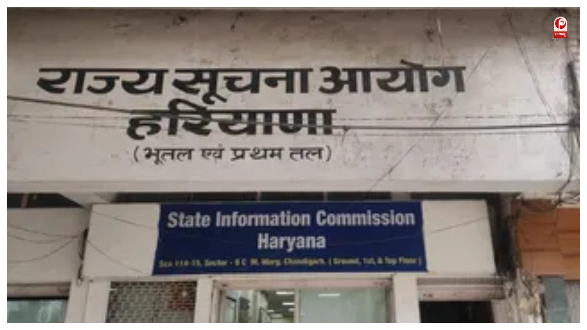 Haryana News