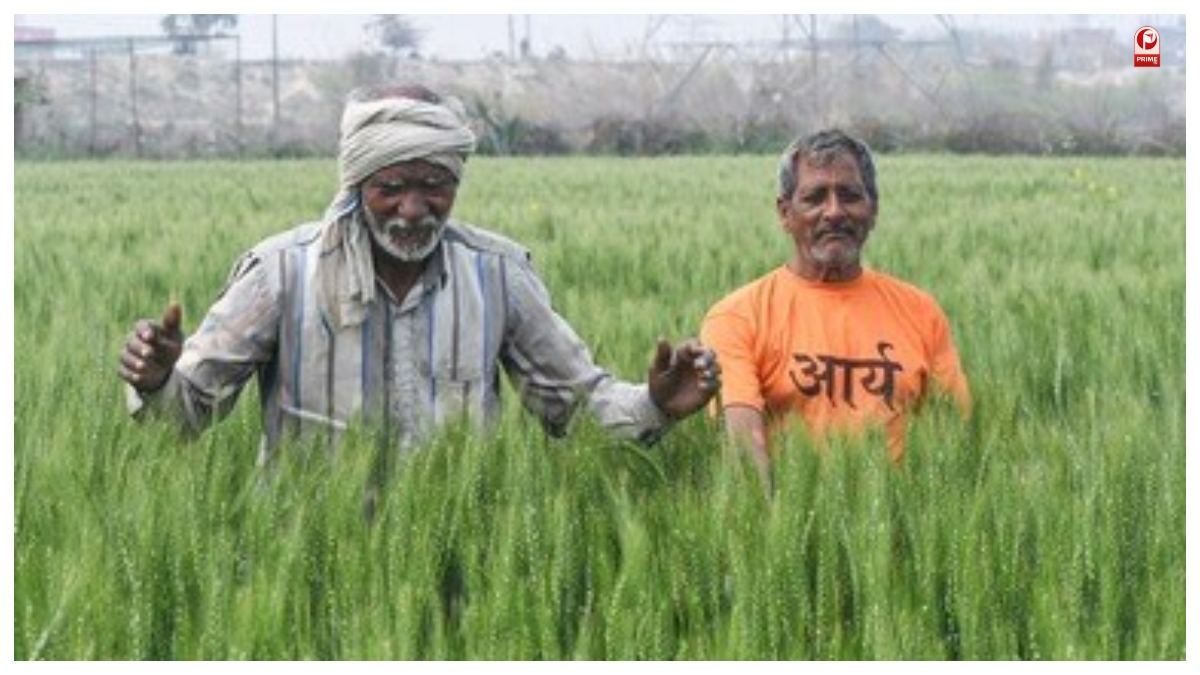 Haryana News