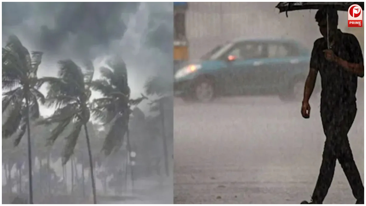IMD Weather Alert 19 July