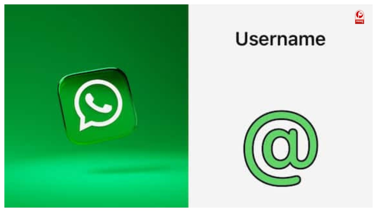 WhatsApp Username Controversy