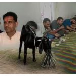 बकरी की मौत पर किसान ने किया ऐसा काम