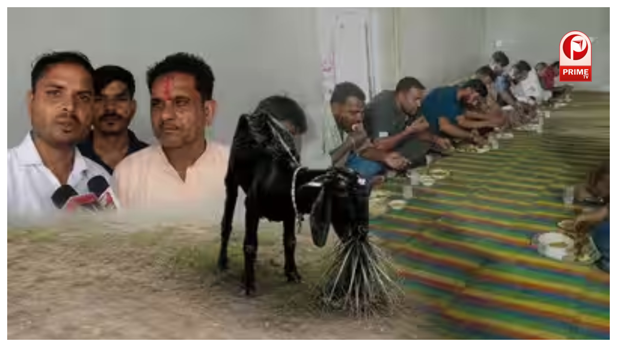 बकरी की मौत पर किसान ने किया ऐसा काम