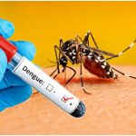 Bhopal Dengue Alert