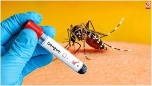 Bhopal Dengue Alert