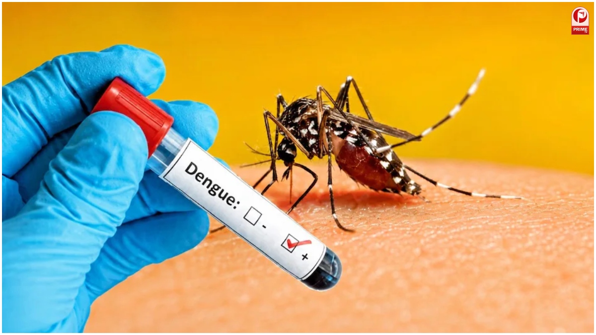 Bhopal Dengue Alert