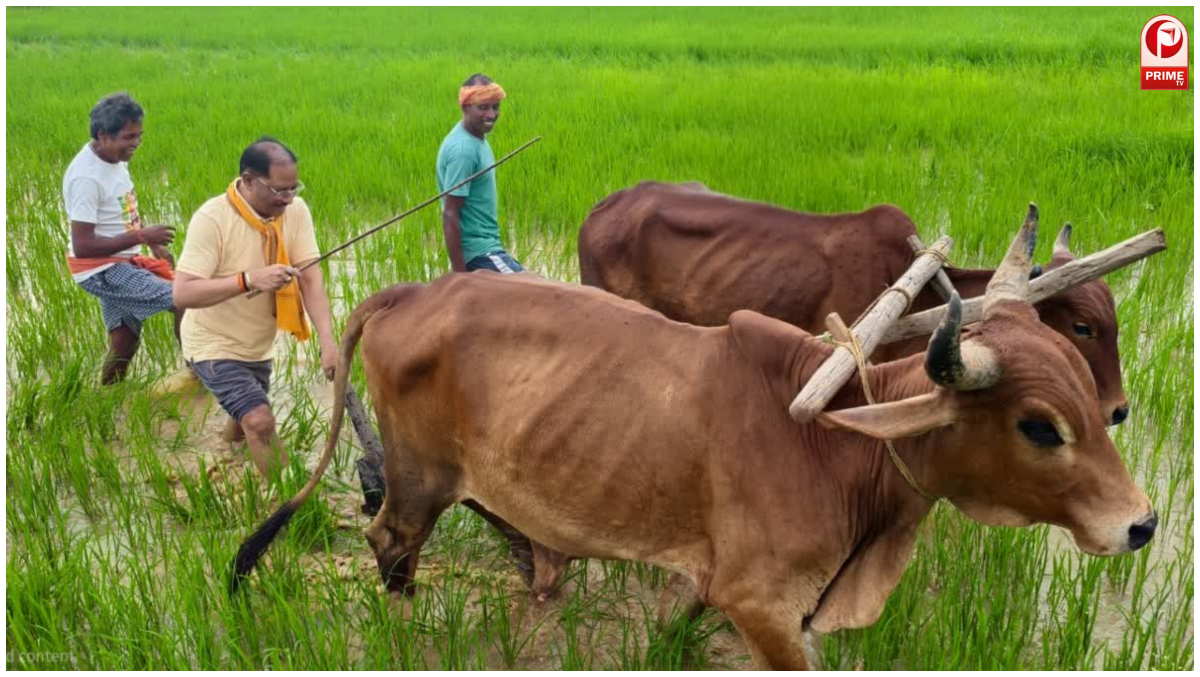 Chhattisgarh CM