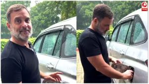 E20 Petrol Controversy