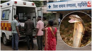Gadchiroli Snakebite