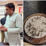 Hardoi Fly Menace