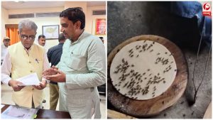 Hardoi Fly Menace