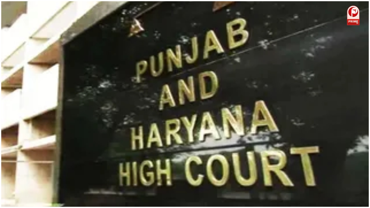 Haryana News
