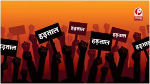 Haryana News