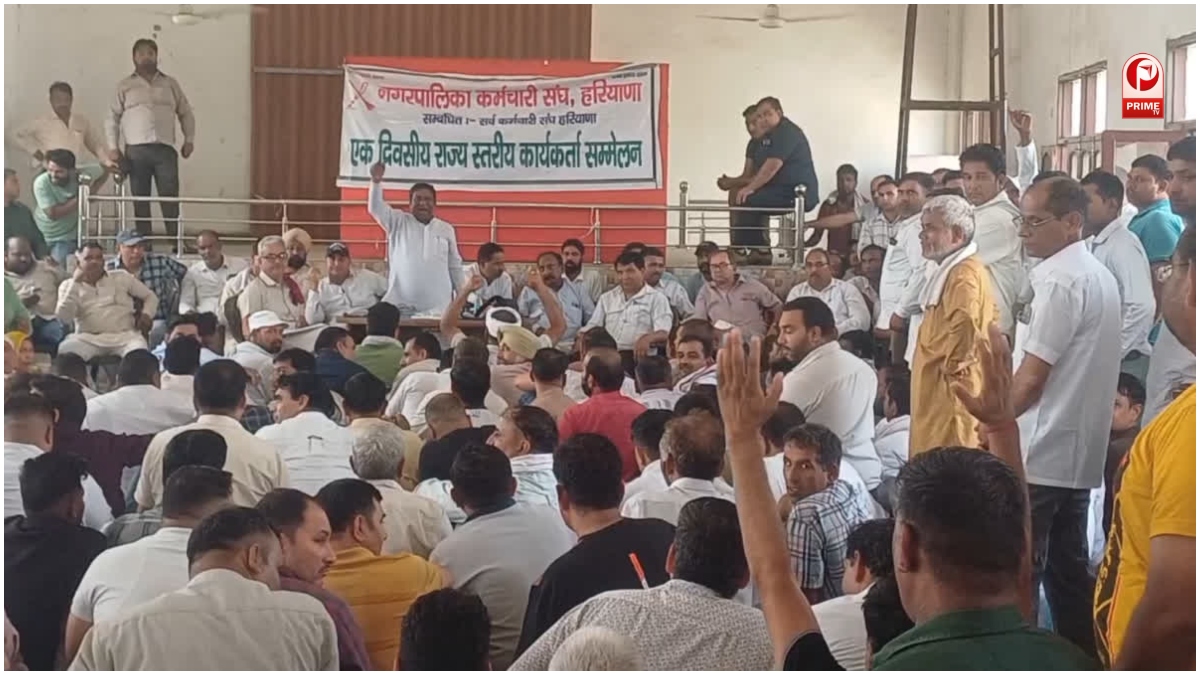 Haryana News