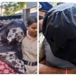 Honeytrap Terror Case