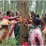 Jharkhand Raksha Bandhan