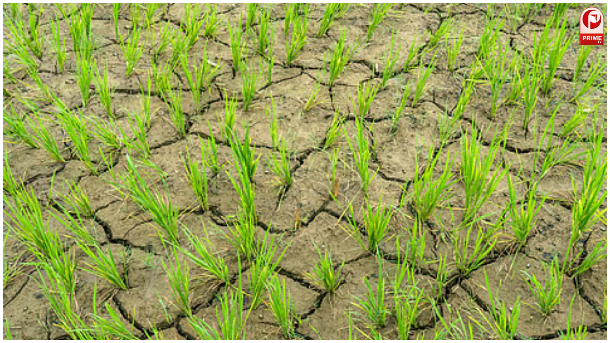Kharif Sowing 2026