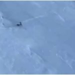 Ladakh Army Rescue