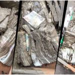 Nepal Bank Rescue Gold and Cash Recovered