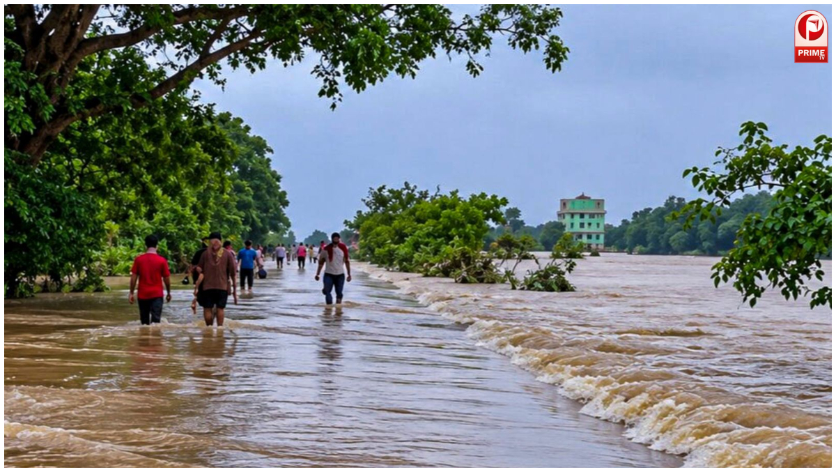 Odisha Flood News