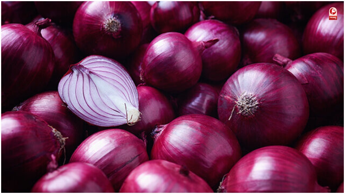 Onion Price Today