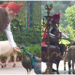 PM Modi Video