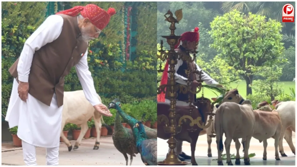 PM Modi Video