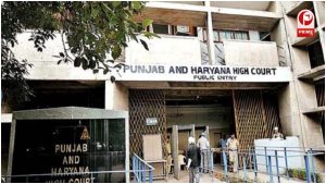 Punjab News