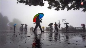 Rain Alert