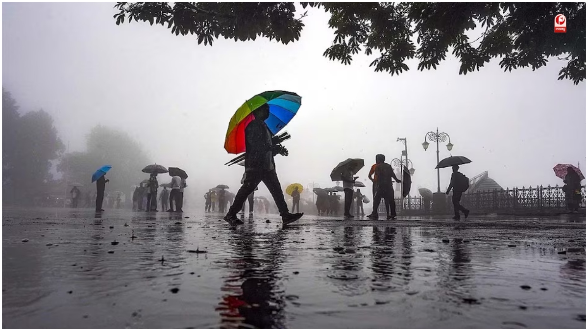 Rain Alert