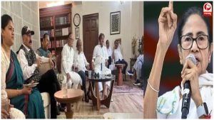 TMC Rebel MPs