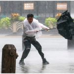 Typhoon Dolphin