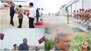 UP News