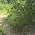 Uttarakhand Accident