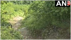 Uttarakhand Accident