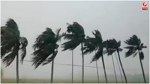 Weather Alert 28 August