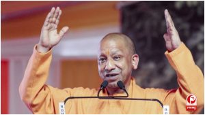 Yogi Cabinet