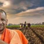 Yogi Cabinet