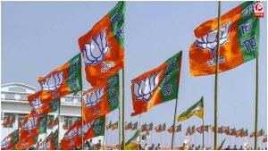 BJP Election Spending