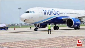 Goa News