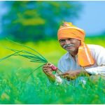 Haryana News