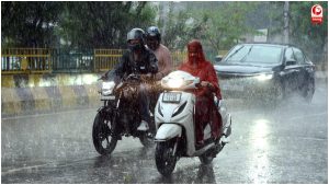 Haryana News 
