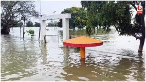 चार विशेष टीमें अलग-अलग क्षेत्रों में भेजी गईं