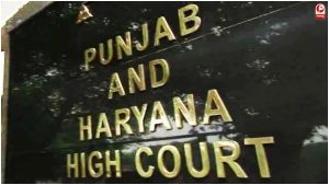 Haryana News