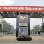 Haryana News