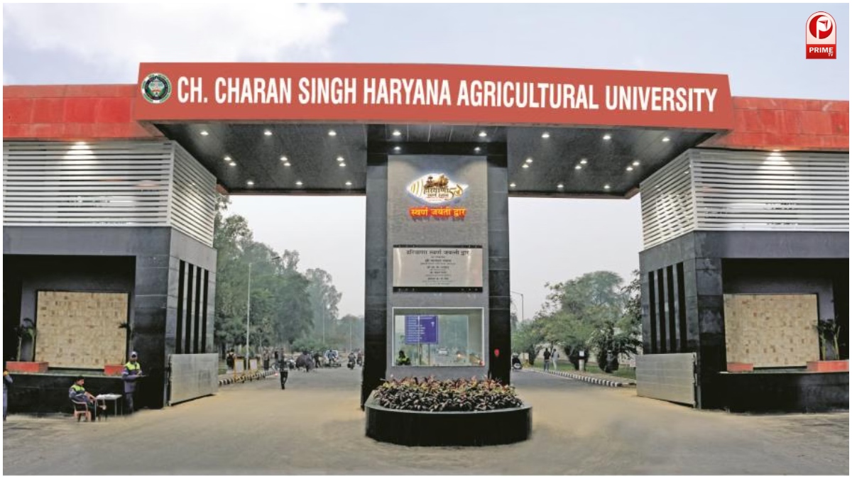 Haryana News