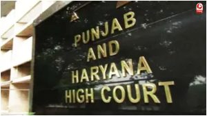Haryana News