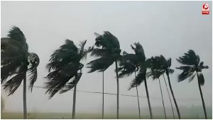 IMD Weather Update