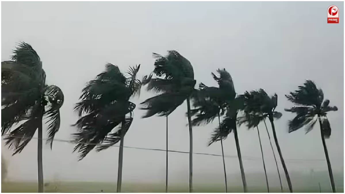 IMD Weather Update