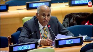 India UNSC Pakistan